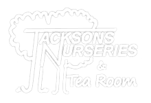 jacksons logo