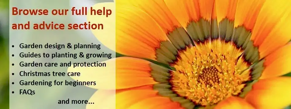 Browse our full help and advice section